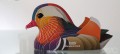 096_Mandarin_duck_06_jpg.jpg