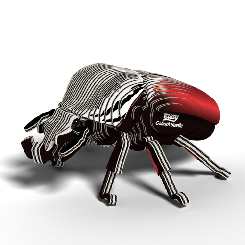 111_Goliath_Beetle_rendering_0001.png