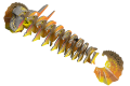 108_frilled_lizard_exploded1.png