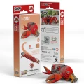 Krab Eugy4.webp