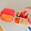 zul_pm_-Mini-Lunchbox-Emerald-Forest-b-box-18734_2.jpg