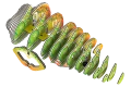 Kameleon-sklada-sie--z-roznych-czesci (1).png