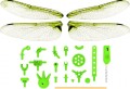 terra_kids_connectors_zestaw_konstrukcyjny_lesni_bohaterowie8.jpg
